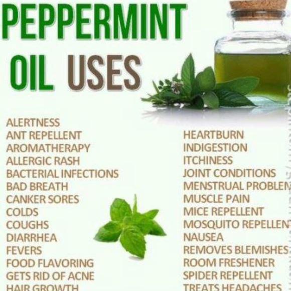 7 Chakras Bracelets & 2 Essential Oils Gift Boxset - Picture 8 of 8